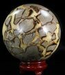 Polished Septarian Sphere - lbs (Cyber Monday Deal!) #43789-1